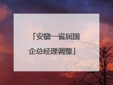 安徽一省属国企总经理调整